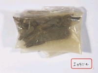 藏品(哺乳動物肢骨化石)的圖片